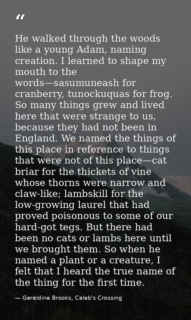 He walked through the woods like a young Adam, naming creation. I learned to shape my mouth to the words—sasumuneash for — Geraldine Brooks, Caleb's Crossing