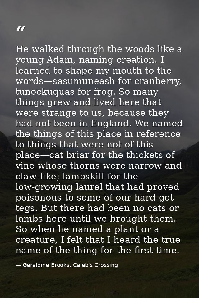 He walked through the woods like a young Adam, naming creation. I learned to shape my mouth to the words—sasumuneash for — Geraldine Brooks, Caleb's Crossing
