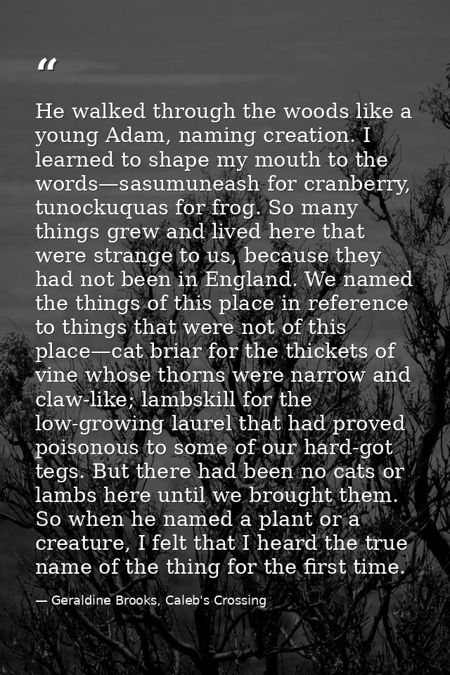 He walked through the woods like a young Adam, naming creation. I learned to shape my mouth to the words—sasumuneash for — Geraldine Brooks, Caleb's Crossing