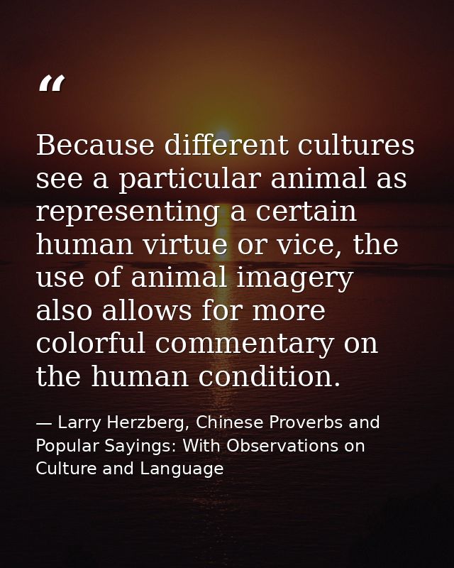 Because different cultures see a particular animal as representing a certain human virtue or vice, the use of animal ima — Larry Herzberg, Chinese Proverbs and Popular Sayings: With Observations on Culture and Language