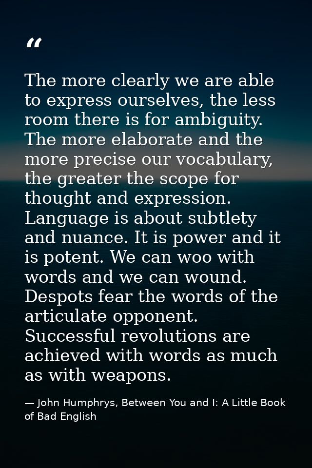 The more clearly we are able to express ourselves, the less room there is for ambiguity. The more elaborate and the more — John Humphrys, Between You and I: A Little Book of Bad English
