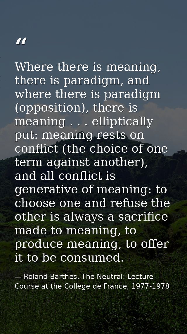 Where there is meaning, there is paradigm, and where there is paradigm (opposition), there is meaning . . . elliptically — Roland Barthes, The Neutral: Lecture Course at the Collège de France, 1977-1978