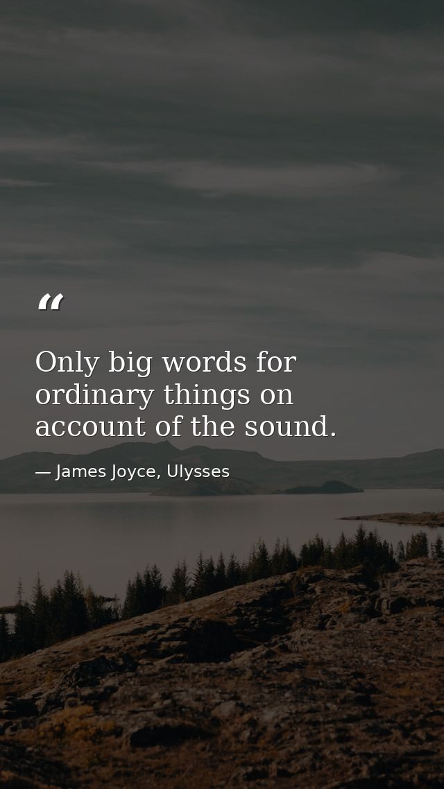 Only big words for ordinary things on account of the sound. — James Joyce, Ulysses