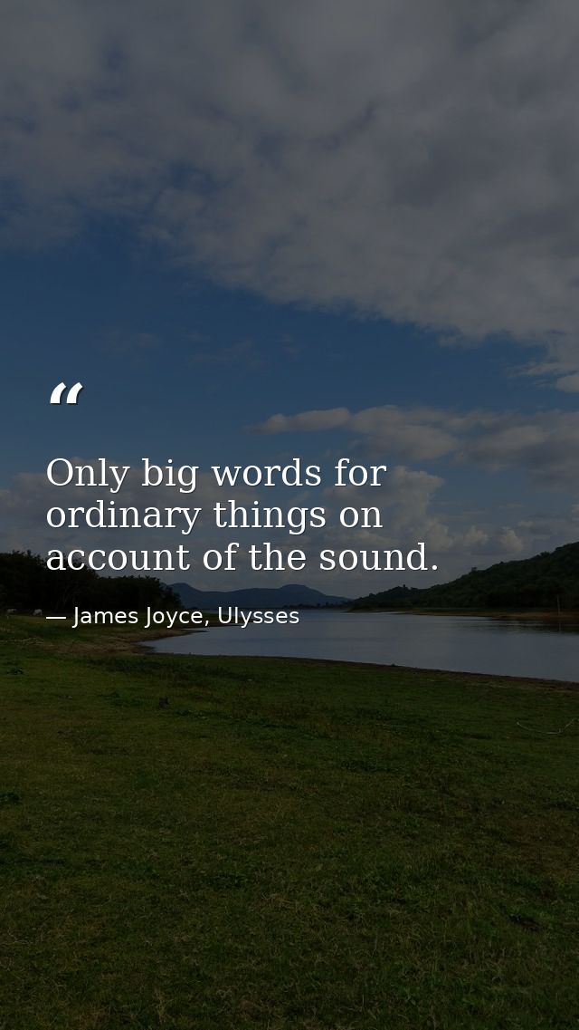 Only big words for ordinary things on account of the sound. — James Joyce, Ulysses
