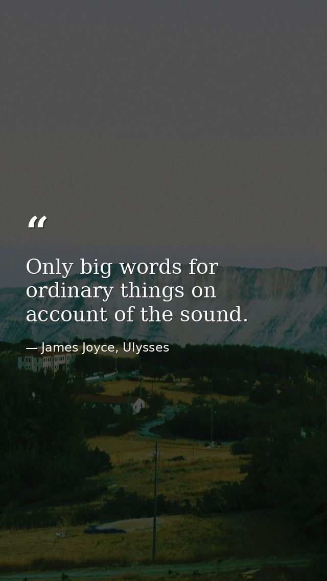 Only big words for ordinary things on account of the sound. — James Joyce, Ulysses