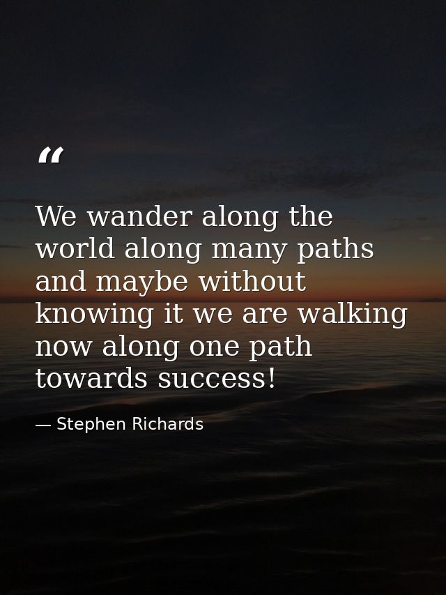 We wander along the world along many paths and maybe without knowing it we are walking now along one path towards succes — Stephen Richards