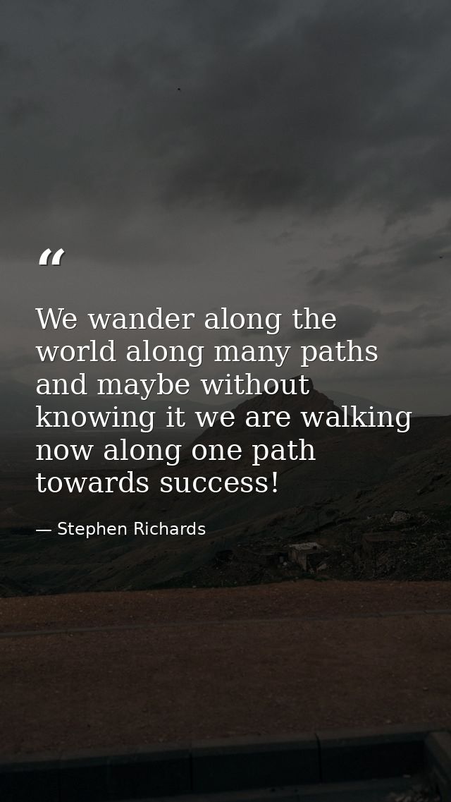 We wander along the world along many paths and maybe without knowing it we are walking now along one path towards succes — Stephen Richards