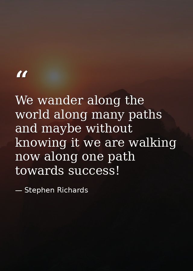 We wander along the world along many paths and maybe without knowing it we are walking now along one path towards succes — Stephen Richards