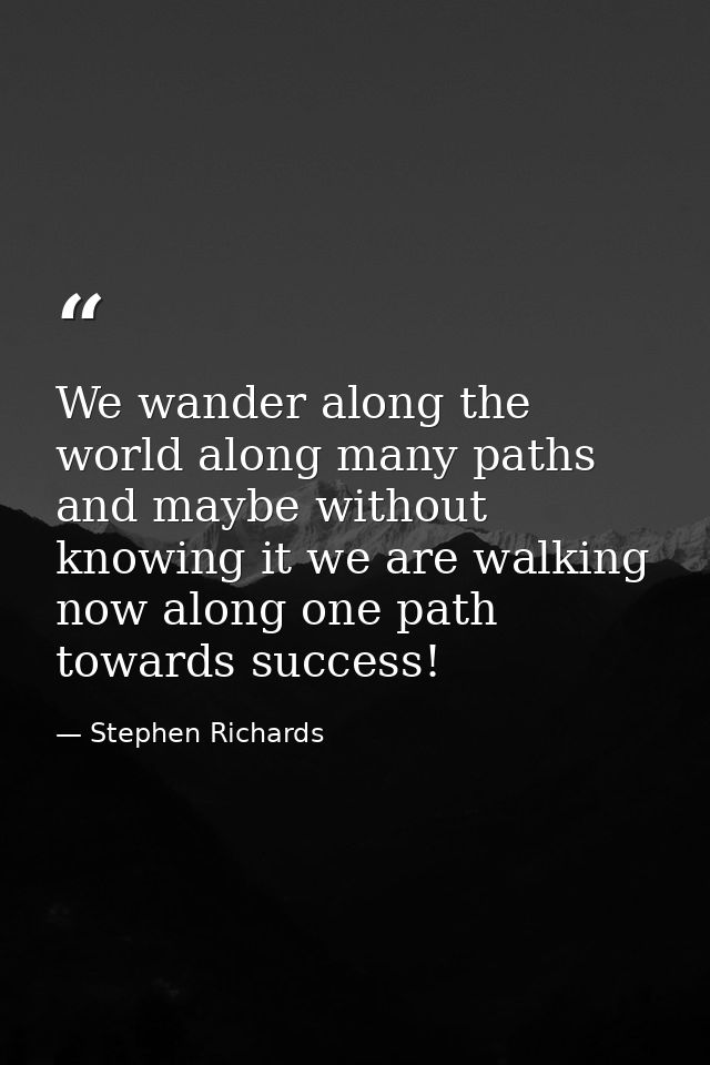 We wander along the world along many paths and maybe without knowing it we are walking now along one path towards succes — Stephen Richards