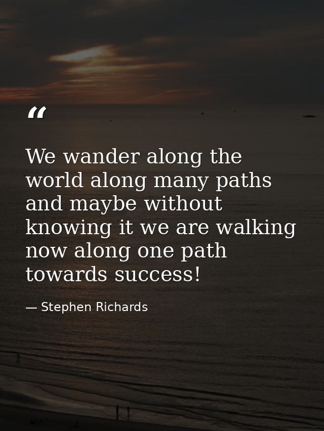 We wander along the world along many paths and maybe without knowing it we are walking now along one path towards succes — Stephen Richards