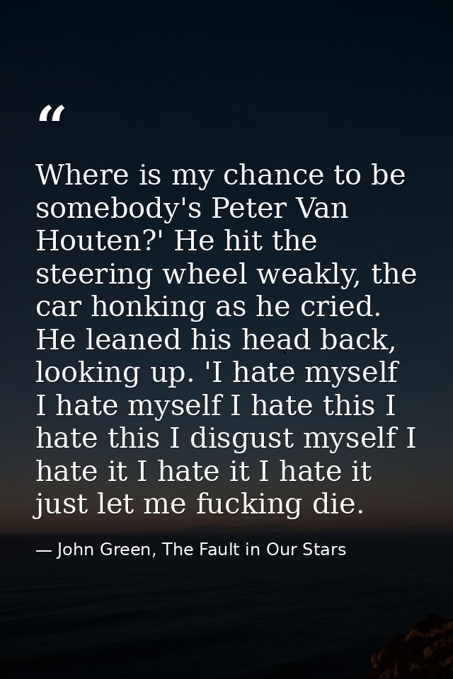 Where is my chance to be somebody's Peter Van Houten?' He hit the steering wheel weakly, the car honking as he cried. He — John Green, The Fault in Our Stars