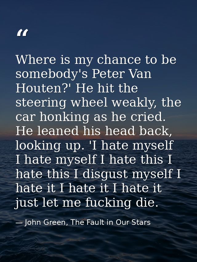 Where is my chance to be somebody's Peter Van Houten?' He hit the steering wheel weakly, the car honking as he cried. He — John Green, The Fault in Our Stars