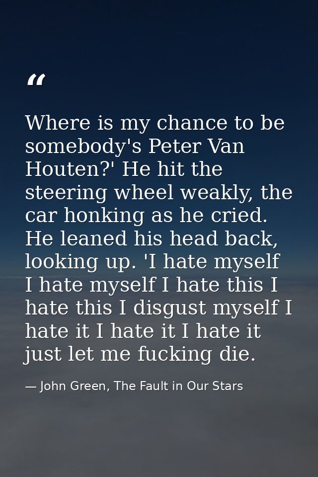 Where is my chance to be somebody's Peter Van Houten?' He hit the steering wheel weakly, the car honking as he cried. He — John Green, The Fault in Our Stars