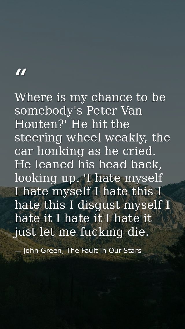 Where is my chance to be somebody's Peter Van Houten?' He hit the steering wheel weakly, the car honking as he cried. He — John Green, The Fault in Our Stars