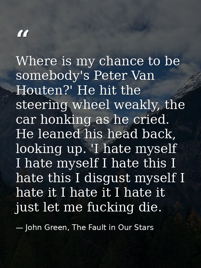 Where is my chance to be somebody's Peter Van Houten?' He hit the steering wheel weakly, the car honking as he cried. He — John Green, The Fault in Our Stars
