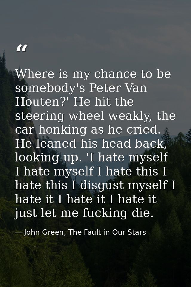 Where is my chance to be somebody's Peter Van Houten?' He hit the steering wheel weakly, the car honking as he cried. He — John Green, The Fault in Our Stars