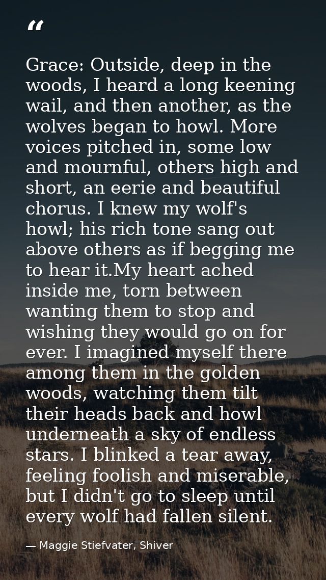 Grace: Outside, deep in the woods, I heard a long keening wail, and then another, as the wolves began to howl. More voic — Maggie Stiefvater, Shiver