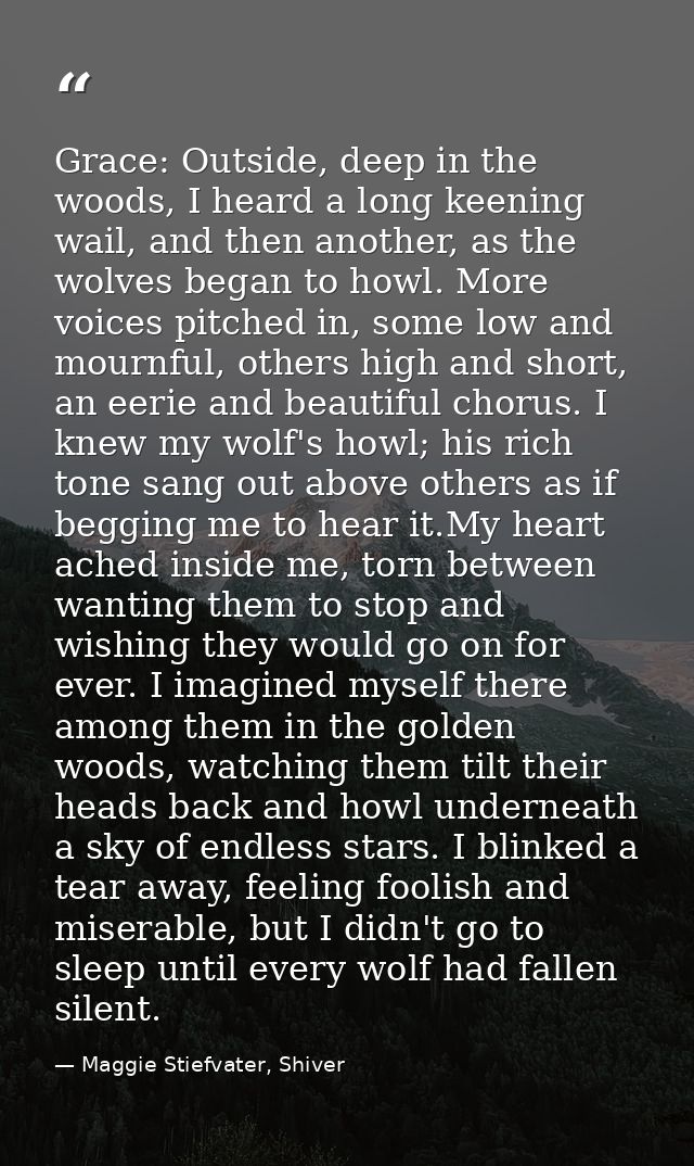 Grace: Outside, deep in the woods, I heard a long keening wail, and then another, as the wolves began to howl. More voic — Maggie Stiefvater, Shiver