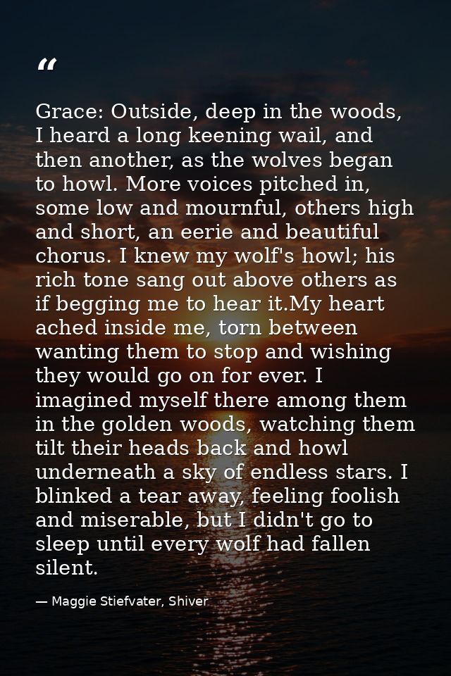 Grace: Outside, deep in the woods, I heard a long keening wail, and then another, as the wolves began to howl. More voic — Maggie Stiefvater, Shiver