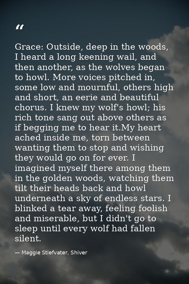 Grace: Outside, deep in the woods, I heard a long keening wail, and then another, as the wolves began to howl. More voic — Maggie Stiefvater, Shiver