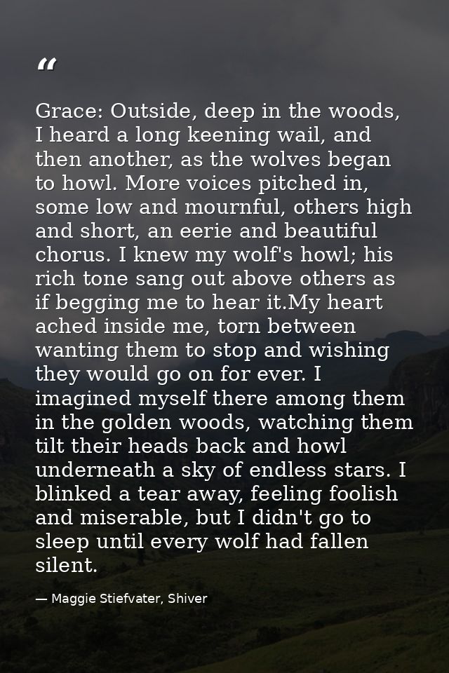 Grace: Outside, deep in the woods, I heard a long keening wail, and then another, as the wolves began to howl. More voic — Maggie Stiefvater, Shiver