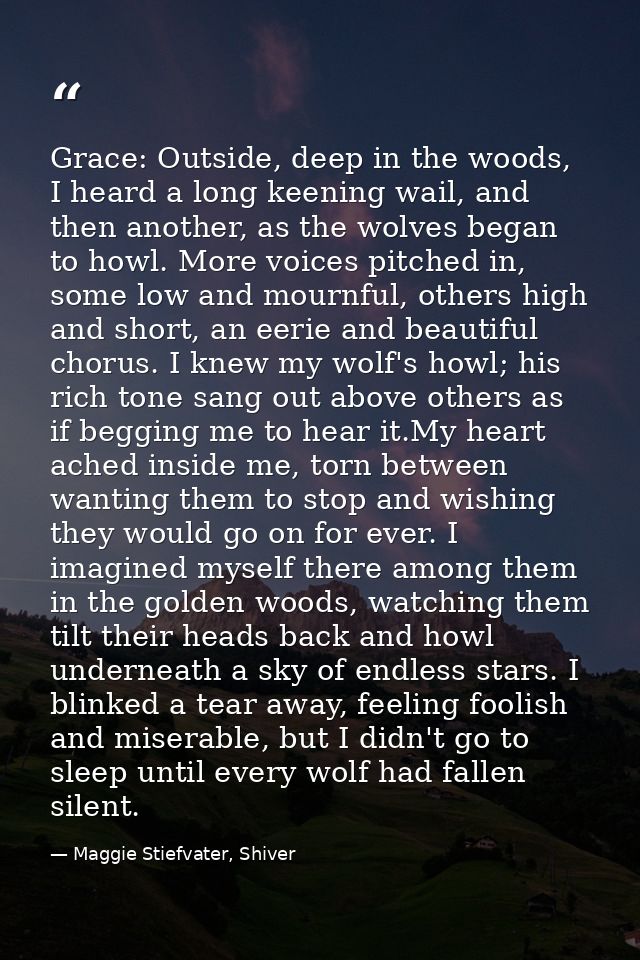 Grace: Outside, deep in the woods, I heard a long keening wail, and then another, as the wolves began to howl. More voic — Maggie Stiefvater, Shiver