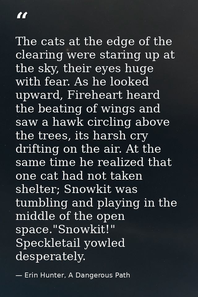The cats at the edge of the clearing were staring up at the sky, their eyes huge with fear. As he looked upward, Firehea — Erin Hunter, A Dangerous Path