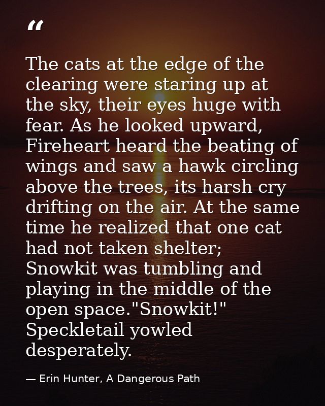 The cats at the edge of the clearing were staring up at the sky, their eyes huge with fear. As he looked upward, Firehea — Erin Hunter, A Dangerous Path