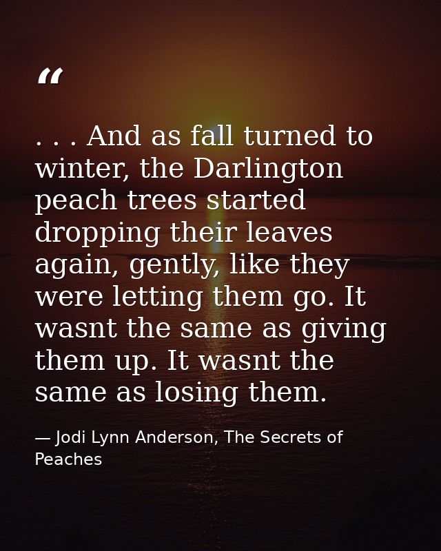 . . . And as fall turned to winter, the Darlington peach trees started dropping their leaves again, gently, like they we — Jodi Lynn Anderson, The Secrets of Peaches