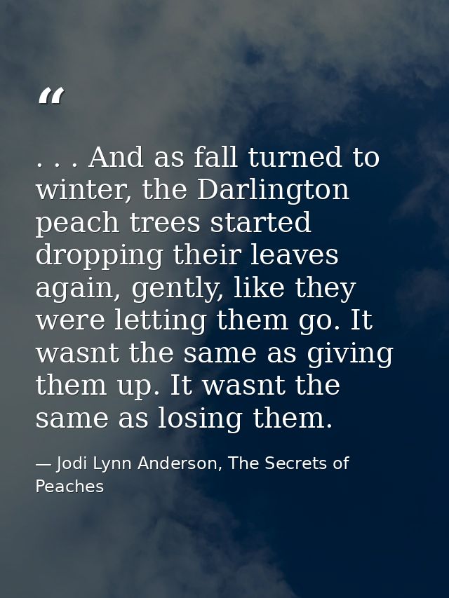 . . . And as fall turned to winter, the Darlington peach trees started dropping their leaves again, gently, like they we — Jodi Lynn Anderson, The Secrets of Peaches