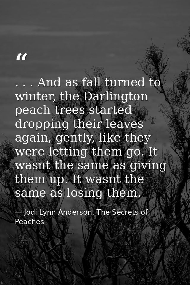. . . And as fall turned to winter, the Darlington peach trees started dropping their leaves again, gently, like they we — Jodi Lynn Anderson, The Secrets of Peaches