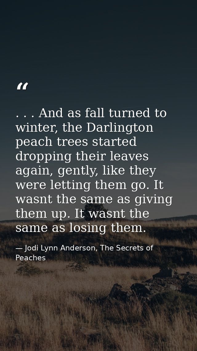 . . . And as fall turned to winter, the Darlington peach trees started dropping their leaves again, gently, like they we — Jodi Lynn Anderson, The Secrets of Peaches