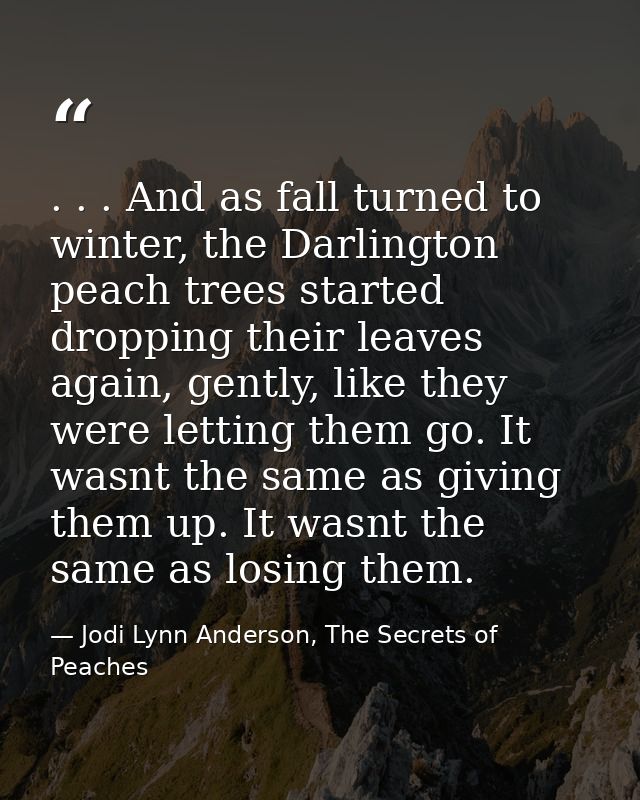 . . . And as fall turned to winter, the Darlington peach trees started dropping their leaves again, gently, like they we — Jodi Lynn Anderson, The Secrets of Peaches