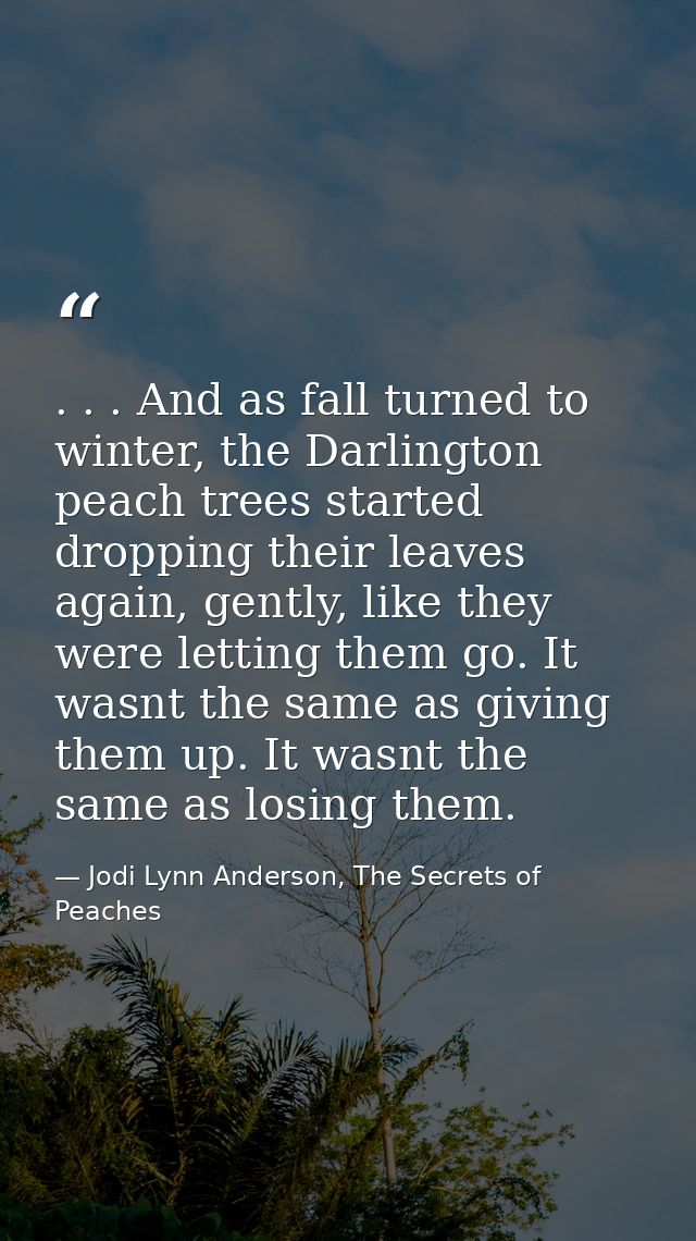 . . . And as fall turned to winter, the Darlington peach trees started dropping their leaves again, gently, like they we — Jodi Lynn Anderson, The Secrets of Peaches