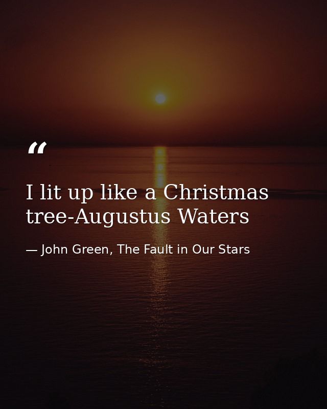 I lit up like a Christmas tree-Augustus Waters — John Green, The Fault in Our Stars