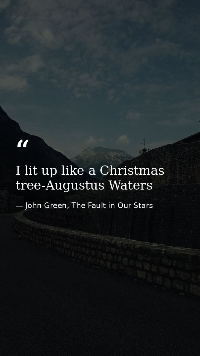 I lit up like a Christmas tree-Augustus Waters — John Green, The Fault in Our Stars
