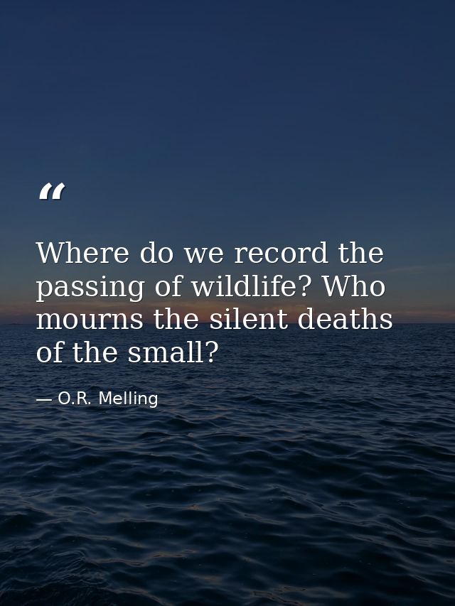Where do we record the passing of wildlife? Who mourns the silent deaths of the small? — O.R. Melling