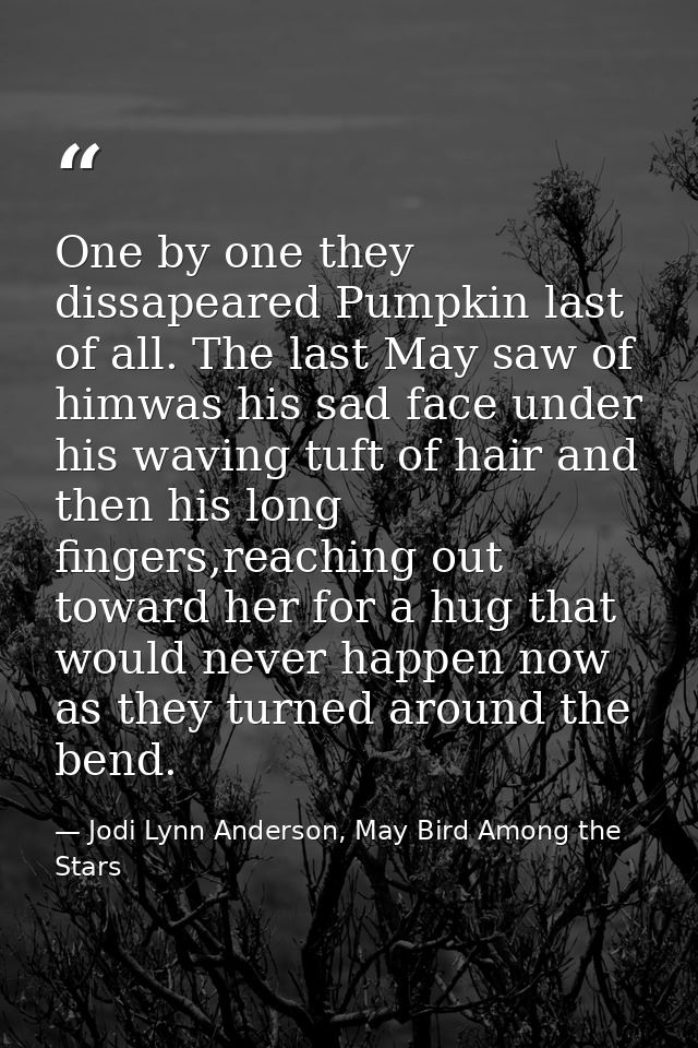 One by one they dissapeared Pumpkin last of all. The last May saw of himwas his sad face under his waving tuft of hair a — Jodi Lynn Anderson, May Bird Among the Stars