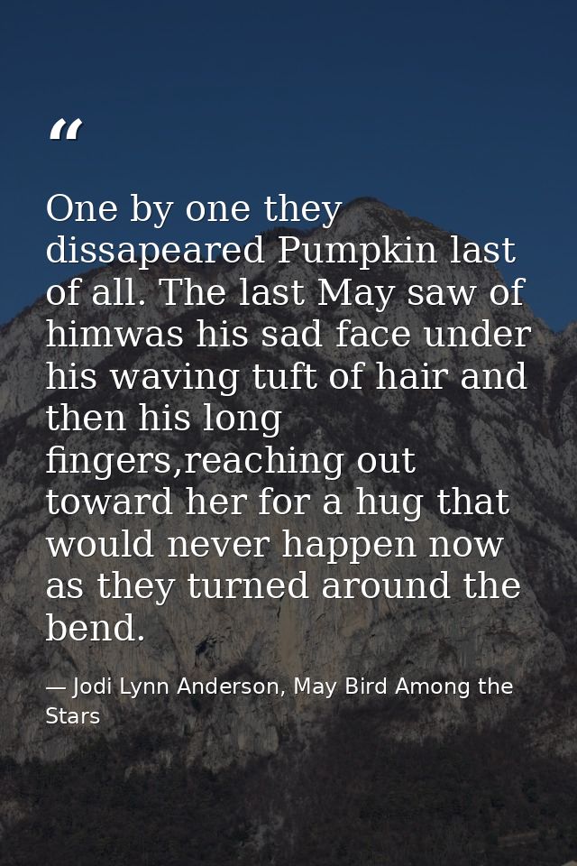 One by one they dissapeared Pumpkin last of all. The last May saw of himwas his sad face under his waving tuft of hair a — Jodi Lynn Anderson, May Bird Among the Stars