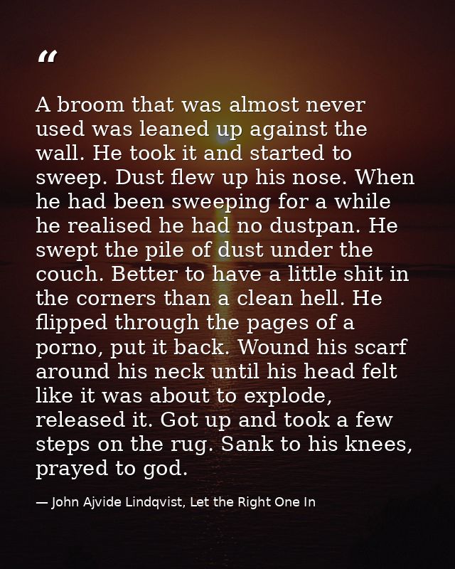 A broom that was almost never used was leaned up against the wall. He took it and started to sweep. Dust flew up his nos — John Ajvide Lindqvist, Let the Right One In