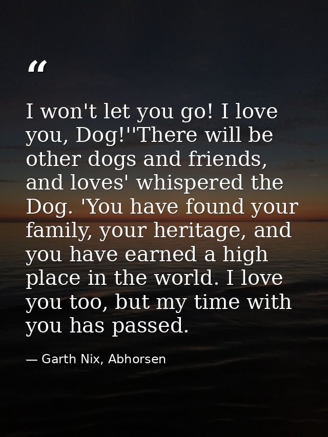 I won't let you go! I love you, Dog!''There will be other dogs and friends, and loves' whispered the Dog. 'You have foun — Garth Nix, Abhorsen