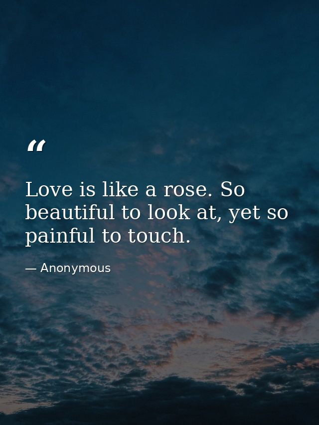 Love is like a rose. So beautiful to look at, yet so painful to touch. — Anonymous
