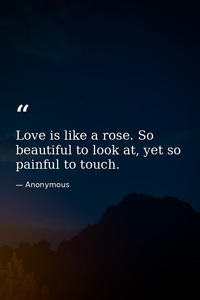 Love is like a rose. So beautiful to look at, yet so painful to touch. — Anonymous