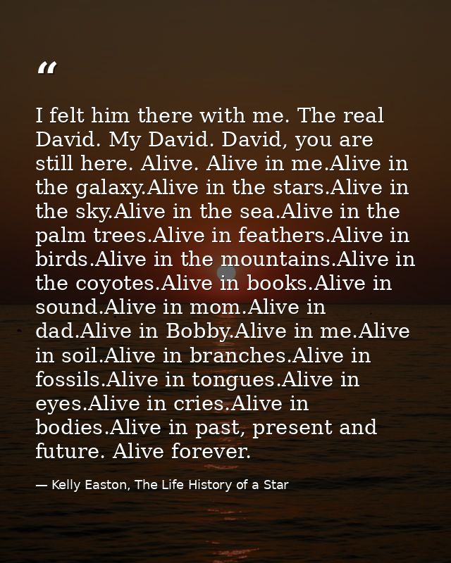 I felt him there with me. The real David. My David. David, you are still here. Alive. Alive in me.Alive in the galaxy.Al — Kelly Easton, The Life History of a Star