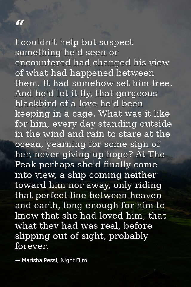 I couldn't help but suspect something he'd seen or encountered had changed his view of what had happened between them. I — Marisha Pessl, Night Film