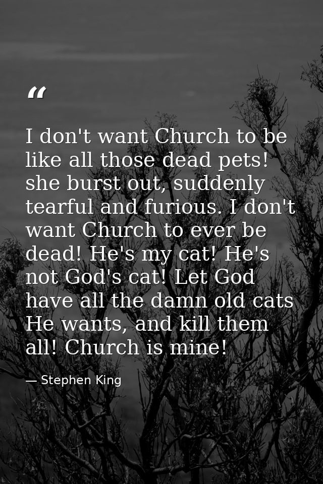 I don't want Church to be like all those dead pets! she burst out, suddenly tearful and furious. I don't want Church to  — Stephen King