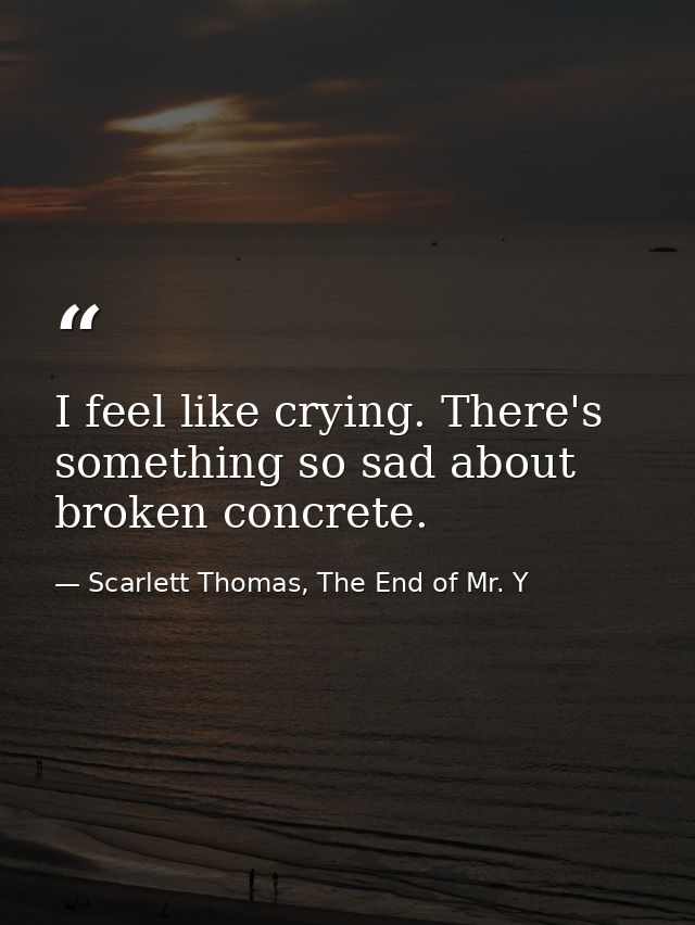 I feel like crying. There's something so sad about broken concrete. — Scarlett Thomas, The End of Mr. Y