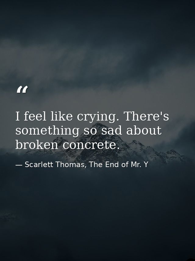 I feel like crying. There's something so sad about broken concrete. — Scarlett Thomas, The End of Mr. Y