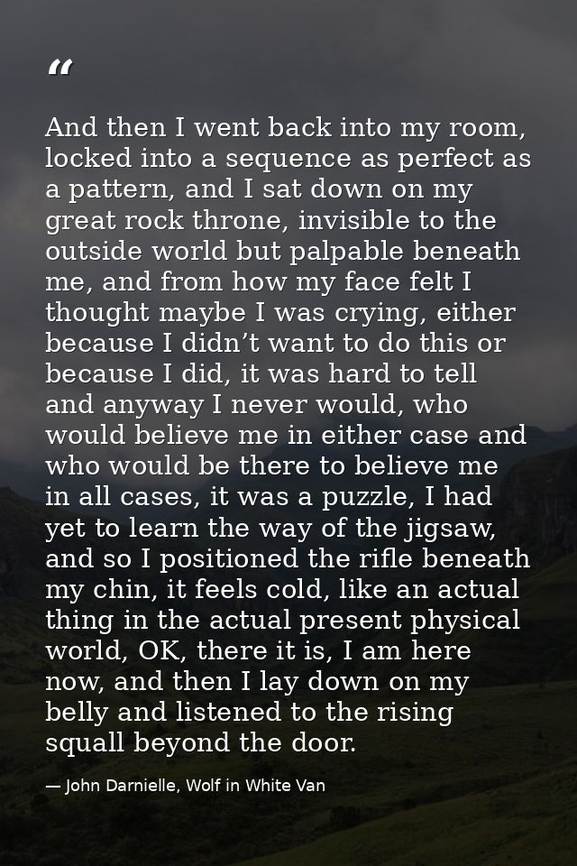 And then I went back into my room, locked into a sequence as perfect as a pattern, and I sat down on my great rock thron — John Darnielle, Wolf in White Van