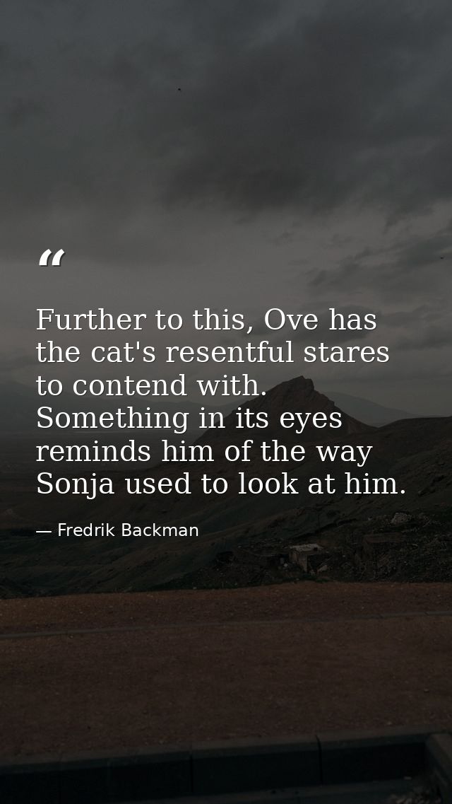 Further to this, Ove has the cat's resentful stares to contend with. Something in its eyes reminds him of the way Sonja  — Fredrik Backman